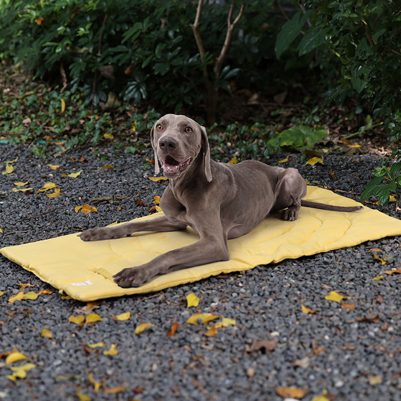 Portable Pet Mat Foldable Pet  - Outdoor Camping Floor Mat review and price