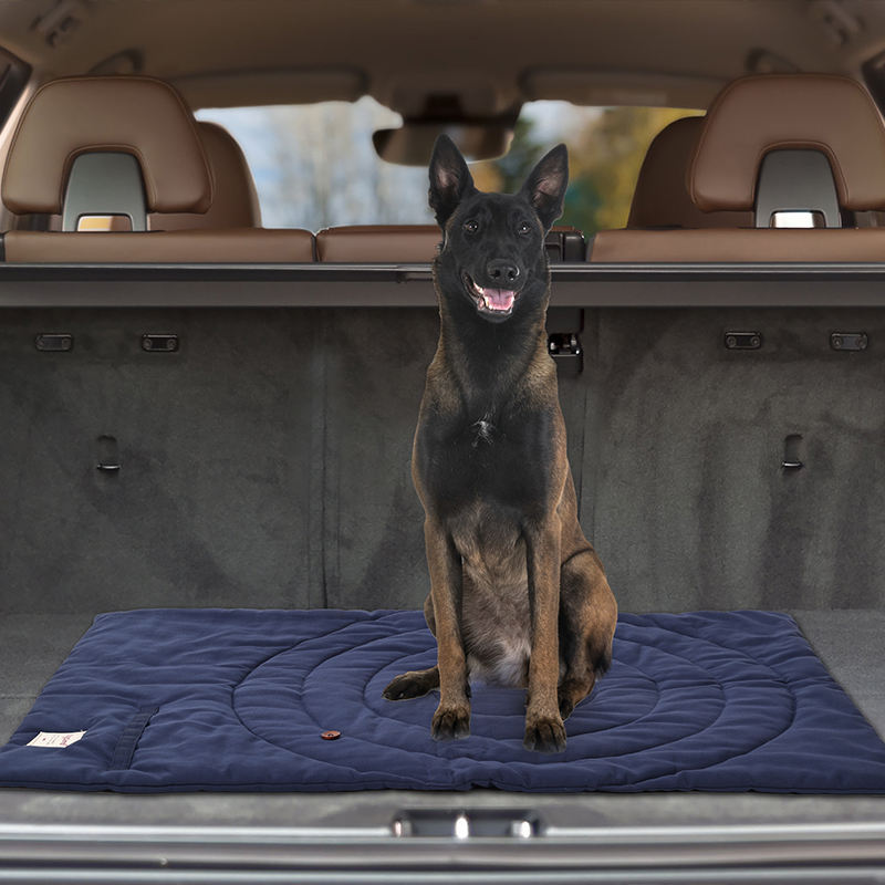 Portable Pet Mat Foldable Pet  - Outdoor Camping Floor Mat review and price