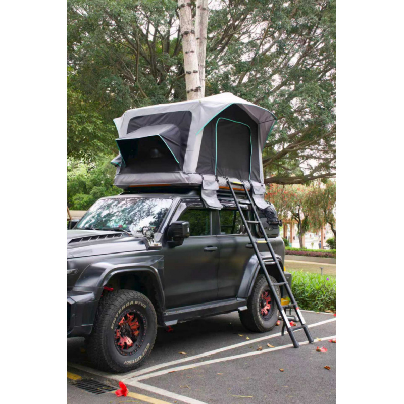 Inflatable Waterproof Roof Top - Outdoor Camping Inflatable Tent review and price