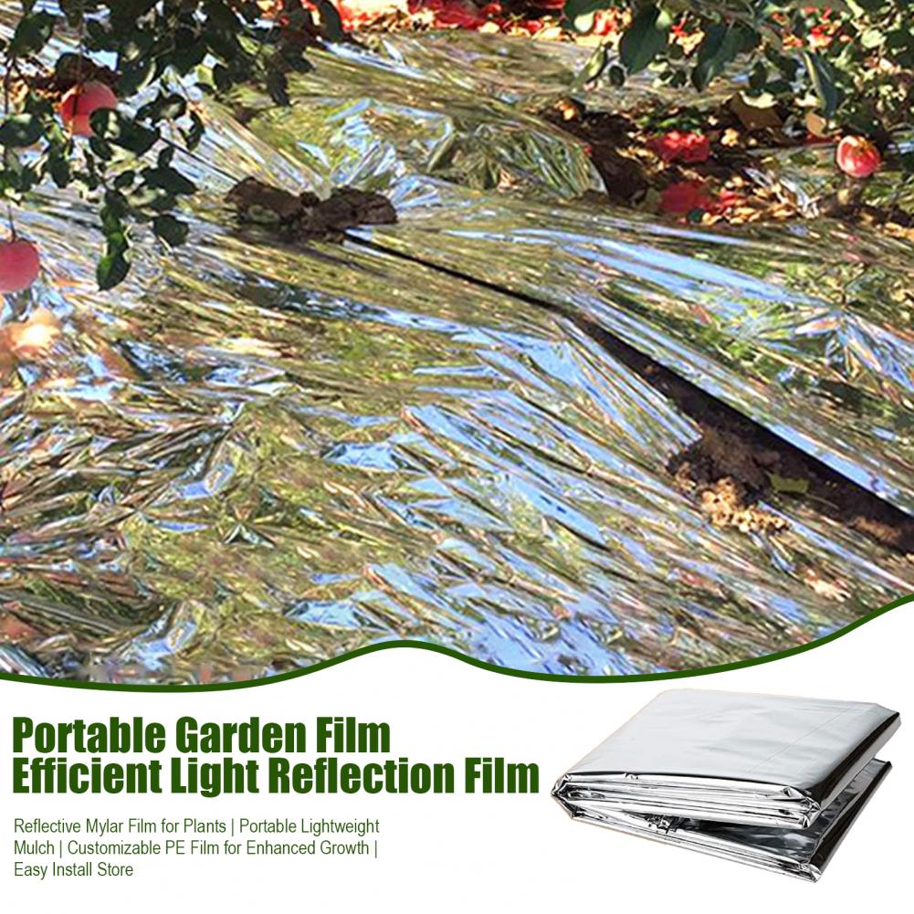 Emergency Thermal Blanket Upgr - Emergency Mylar Blanket review and price