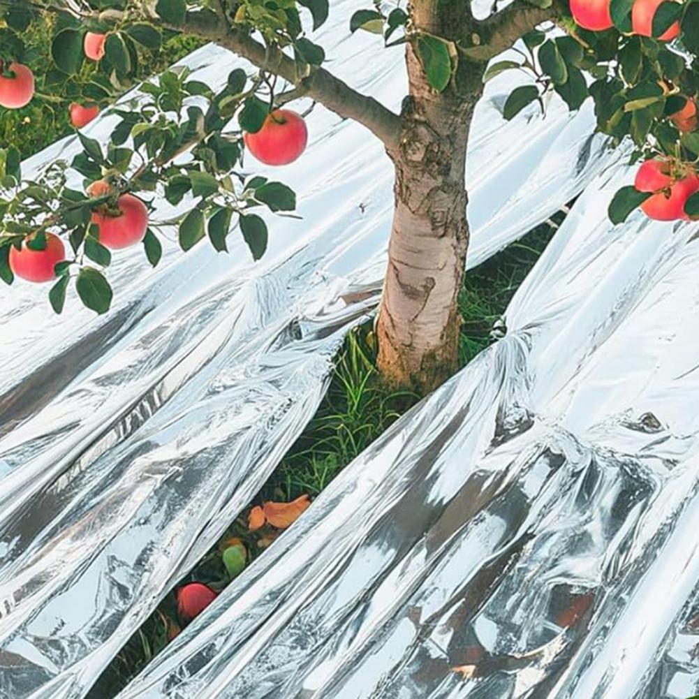 Emergency Thermal Blanket Upgr - Emergency Mylar Blanket review and price